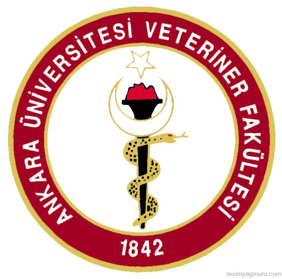 Ankara Üniversitesi Veteriner Fakültesi
